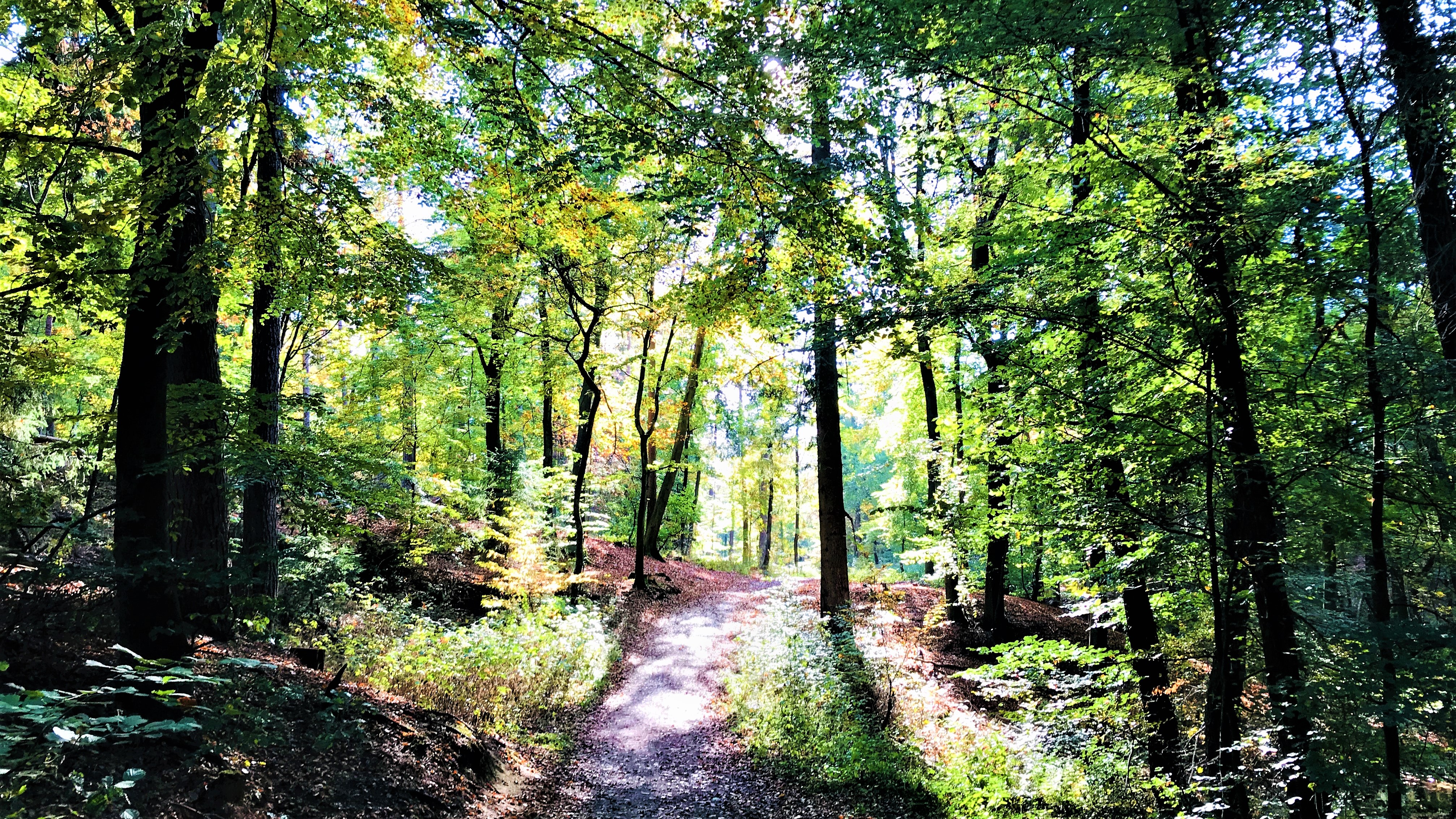 HEIMAT 12